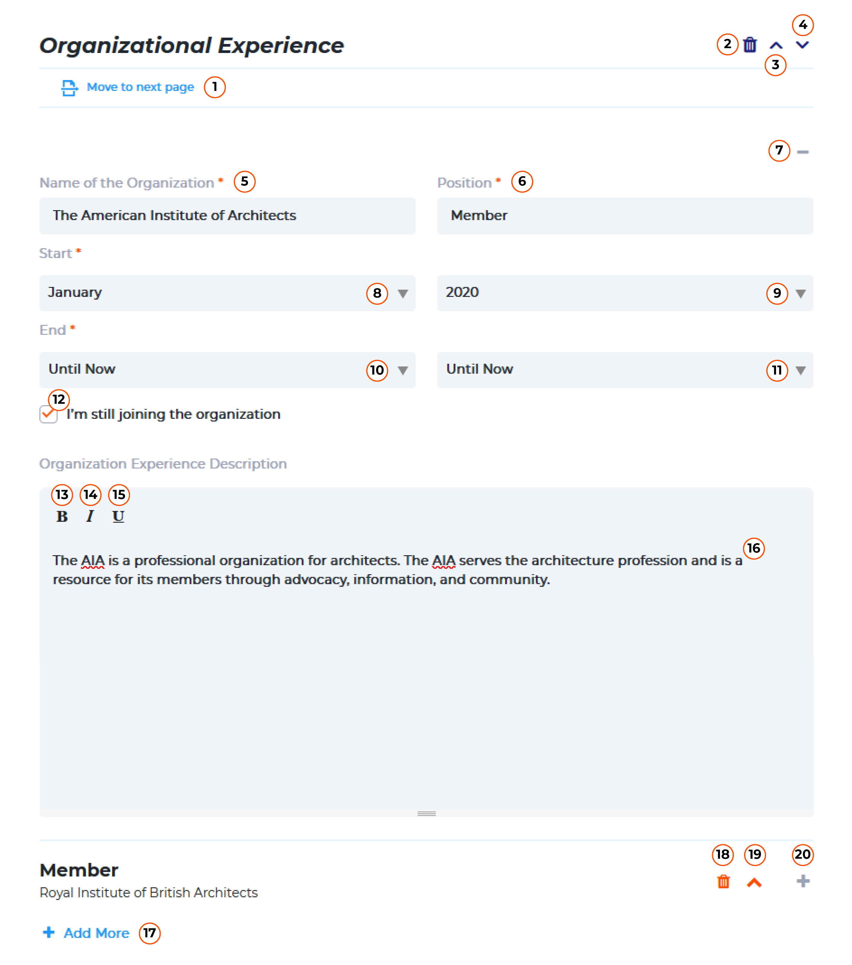 fill in form organization experience